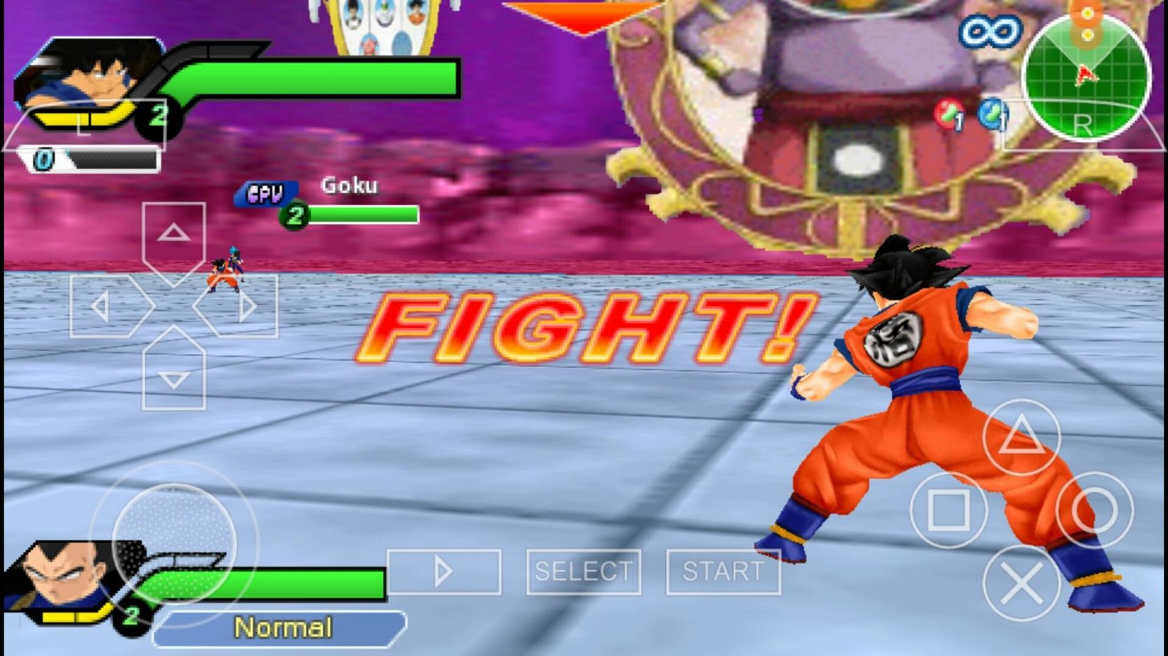 Dragon Ball Z: Grupo de Etiquetas Tenkaichi